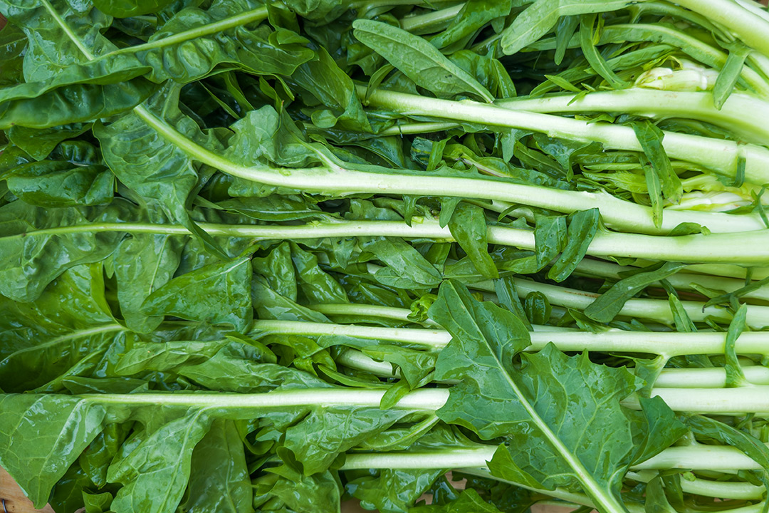 Custom solutions for urban contexts