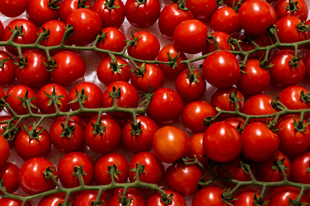 Technical and practical support,<br>always at your fingertips