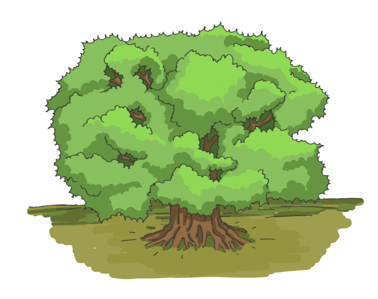 Jocondo's circular design